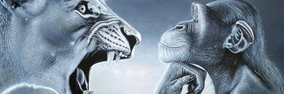m4rianne_bkt's profile banner image
