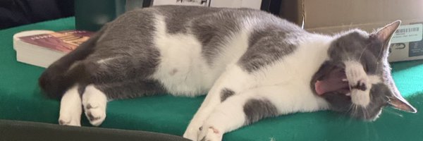 itslucascarter Profile Banner