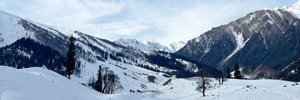 SyedZaaraa Profile Banner