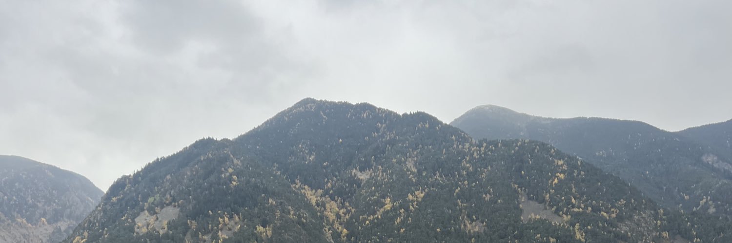 LuPigna's profile banner image