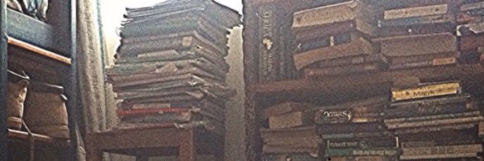 Amb. Walkowa Odinga Ph.D banner