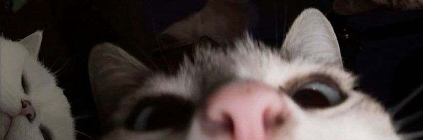 HavvanurH443's profile banner image