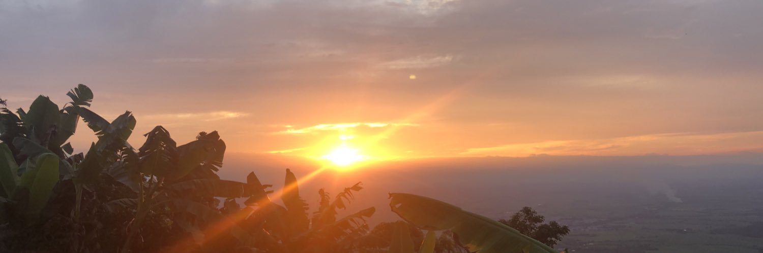 LidaOffir's profile banner image