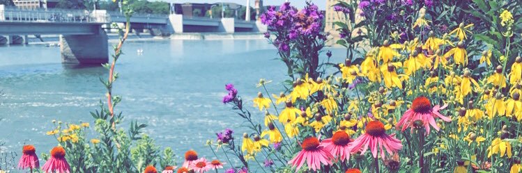 alexismeshke's profile banner image
