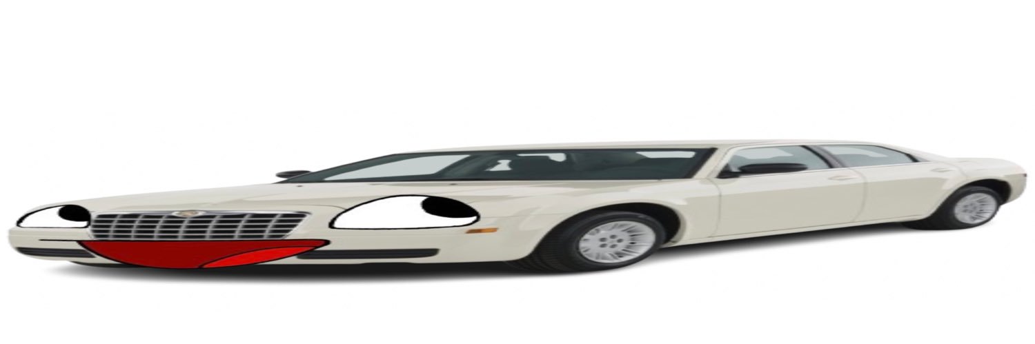 300C's banner