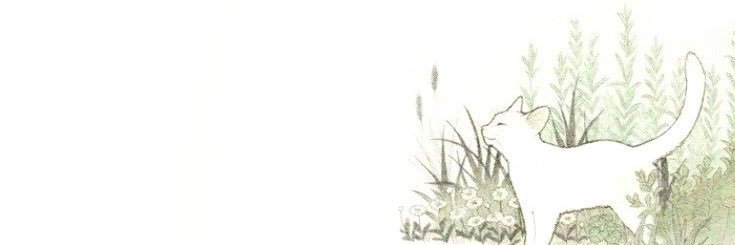 zoelieness's profile banner image