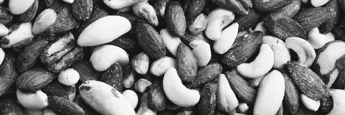 Agent P. Nutz banner