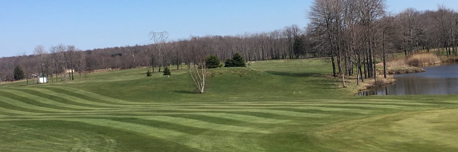 Tonyarrigo's profile banner image