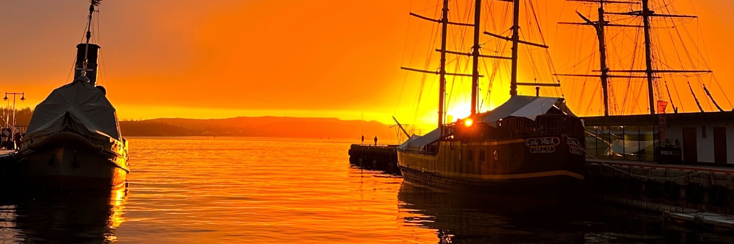 agnete's profile banner image