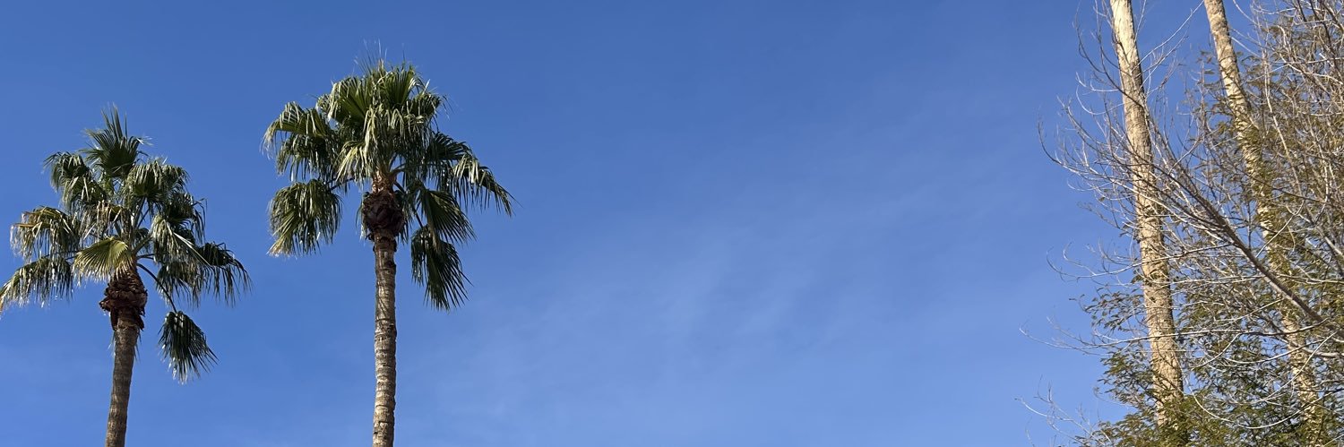 nisweetss's profile banner image