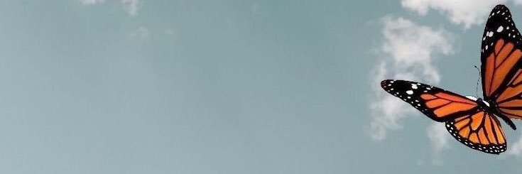 Claribel banner