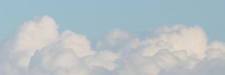 니아 banner