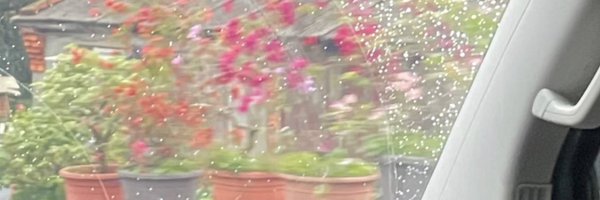 mojimojaiiz Profile Banner