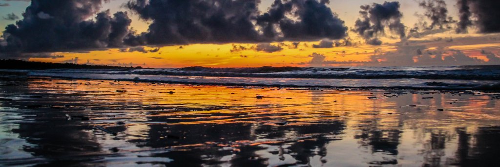 Race2Beach's profile banner image