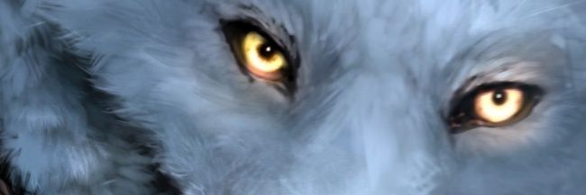 te_helo's profile banner image