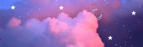 anasticot's profile banner image