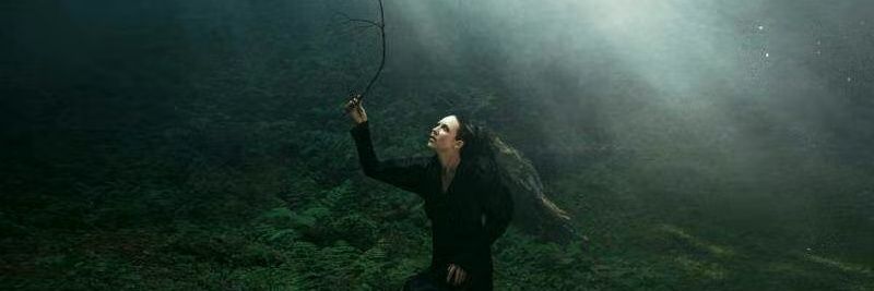 Bucetildes da Silva banner