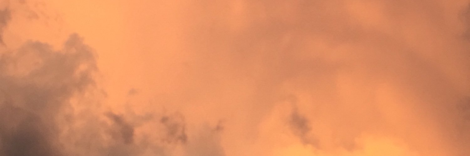 aysurl's profile banner image