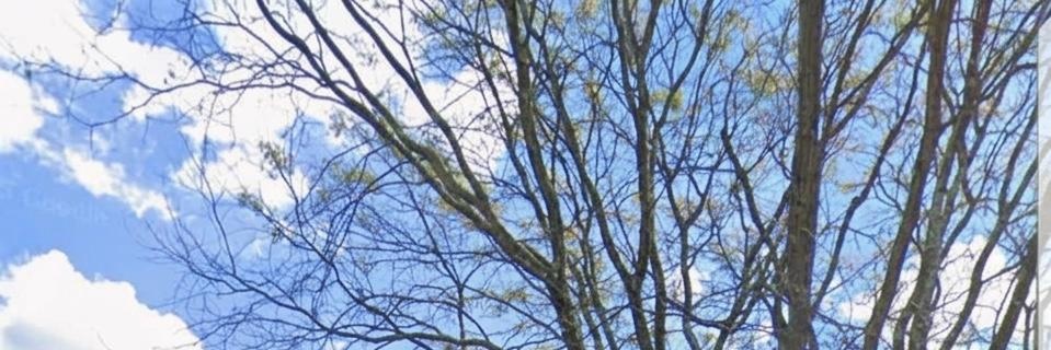 andreassash's profile banner image