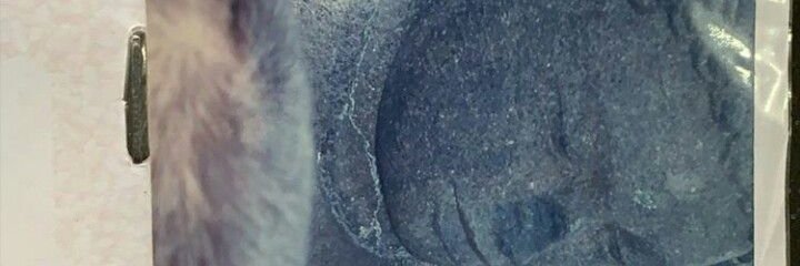 🌄 banner