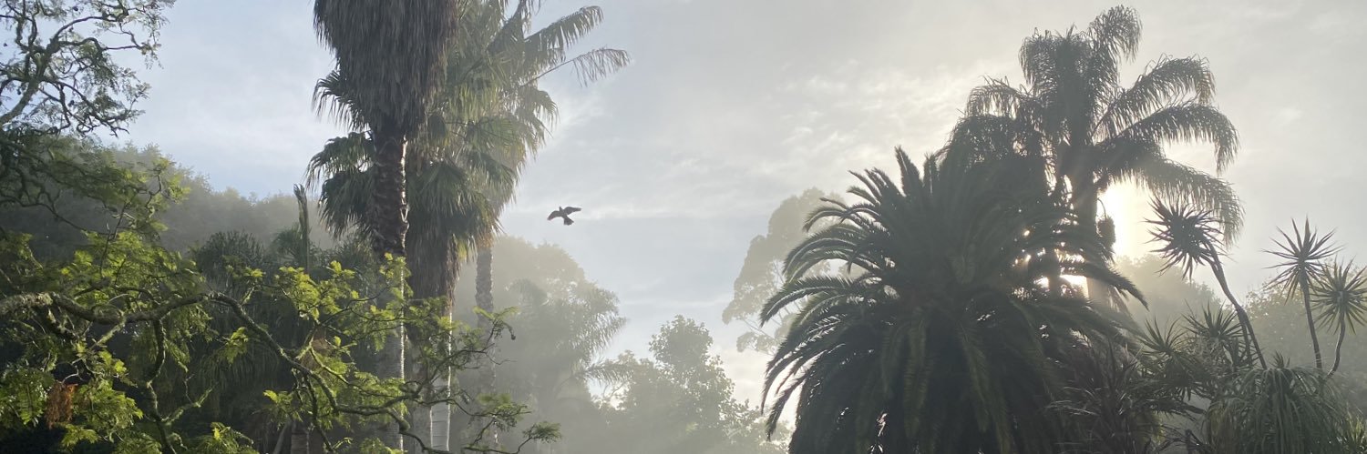 thesnoxbox's profile banner image