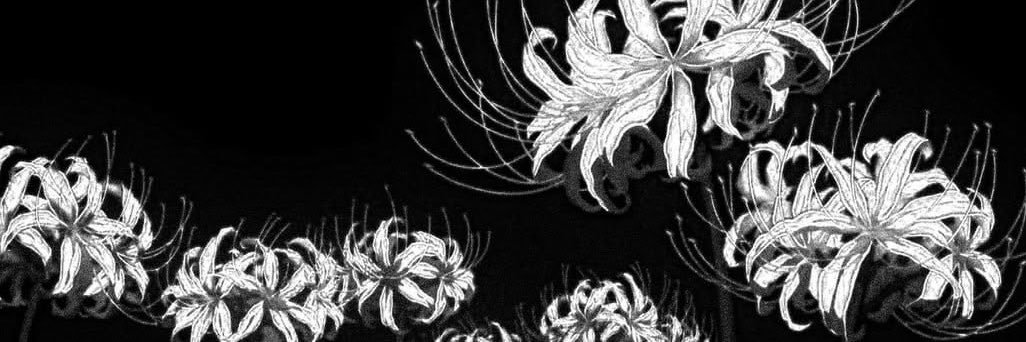 _x_so8o's profile banner image