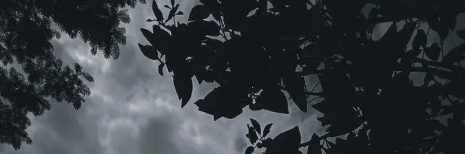 Little_Ghxst's profile banner image
