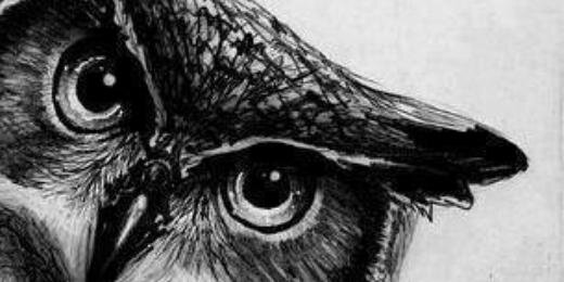 samukera_'s profile banner image
