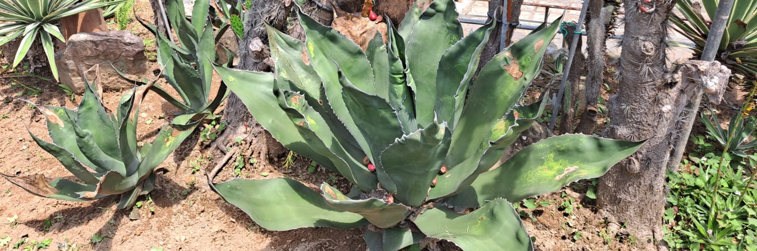 날마다 🌱 banner