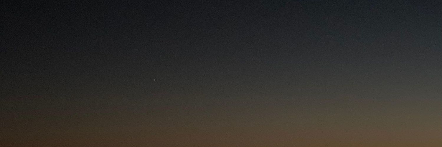 widiaainun's profile banner image