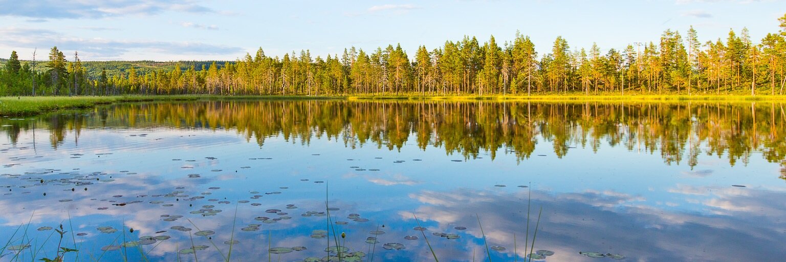 Christophe Barbier banner