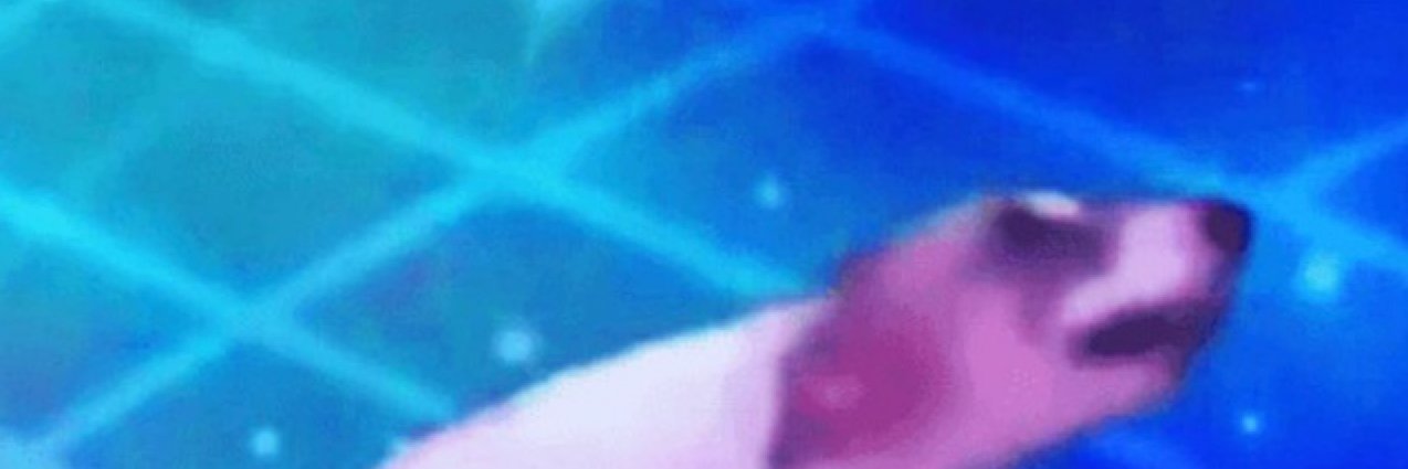 $DANCE banner
