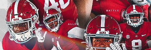 Dr. David Balik banner