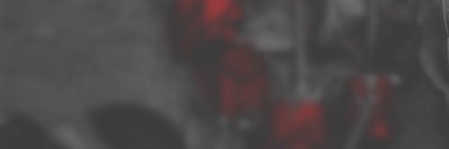 krh_cos's profile banner image