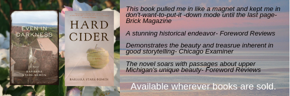 Barbara Stark-Nemon banner