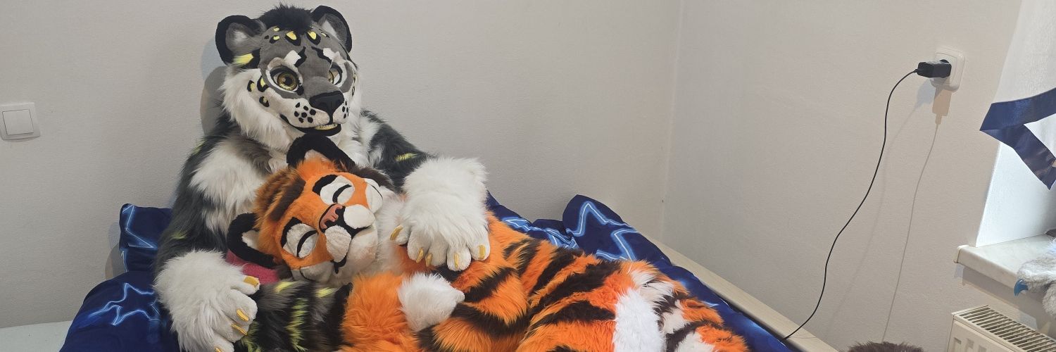 Luca Tiger 🇩🇪 banner