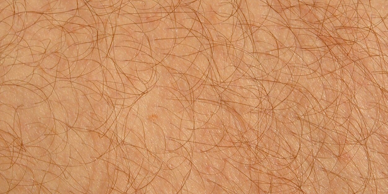 Neil Garguilo banner