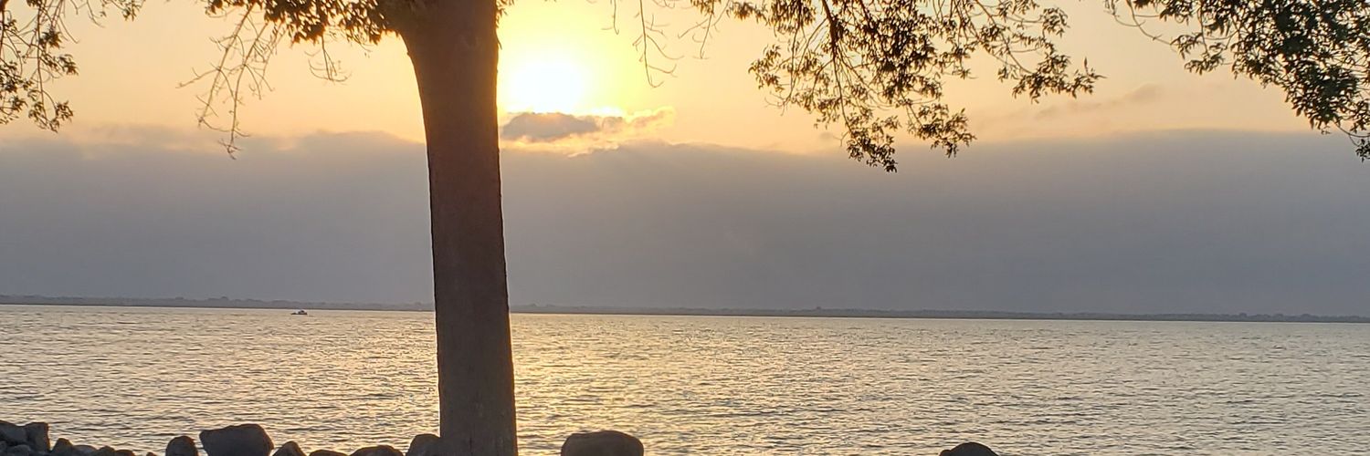 AlinWI's profile banner image