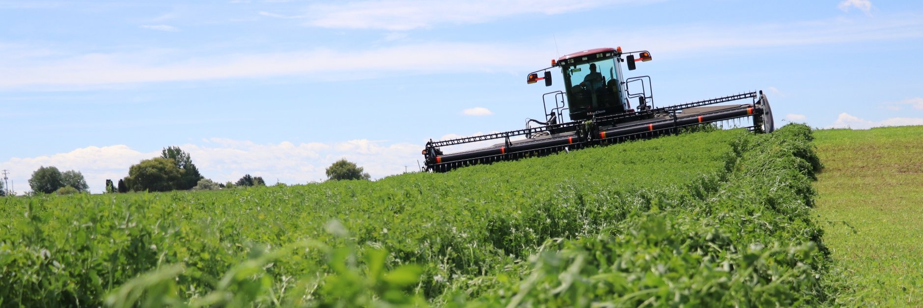 Progressive Forage banner