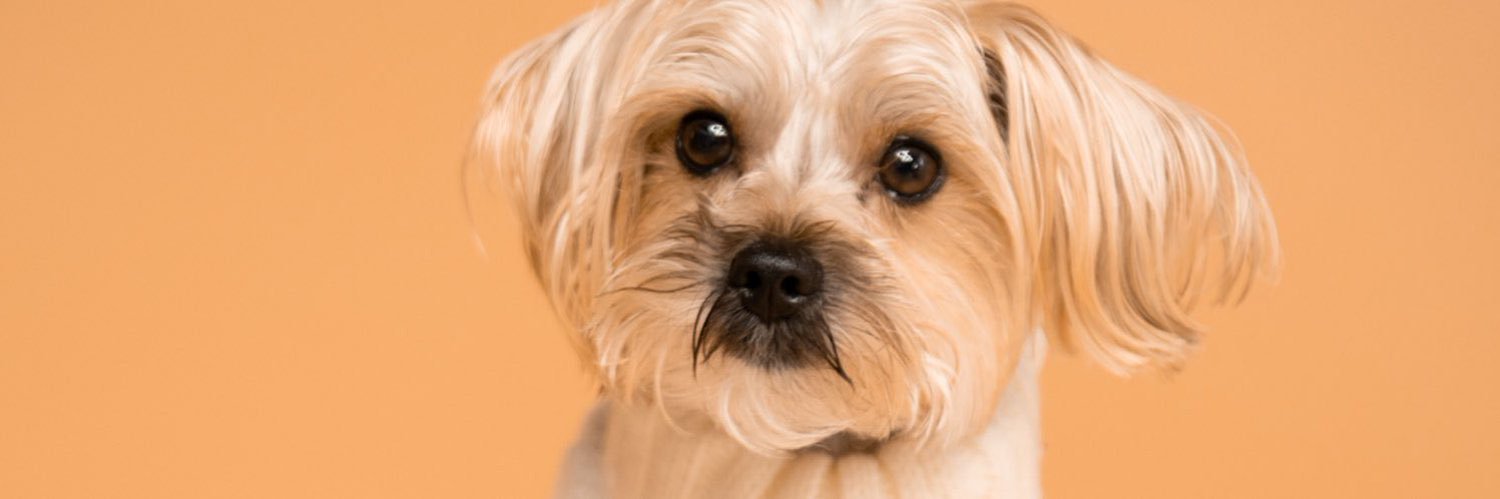 Blessingmomma47's profile banner image