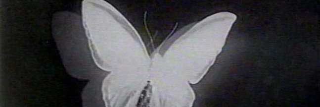 ______blade's profile banner image