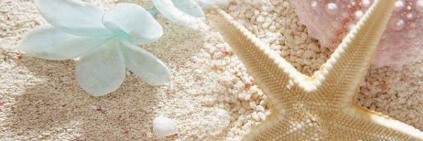 chuuNapie Profile Banner