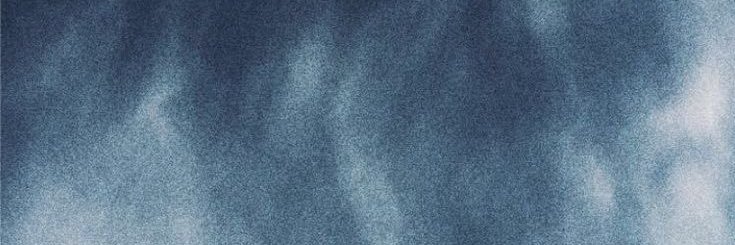 tessa banner