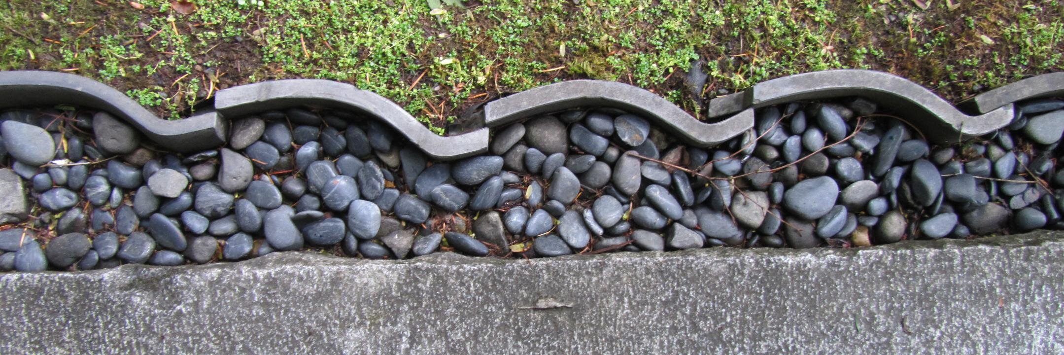 Michelle Maxwell banner