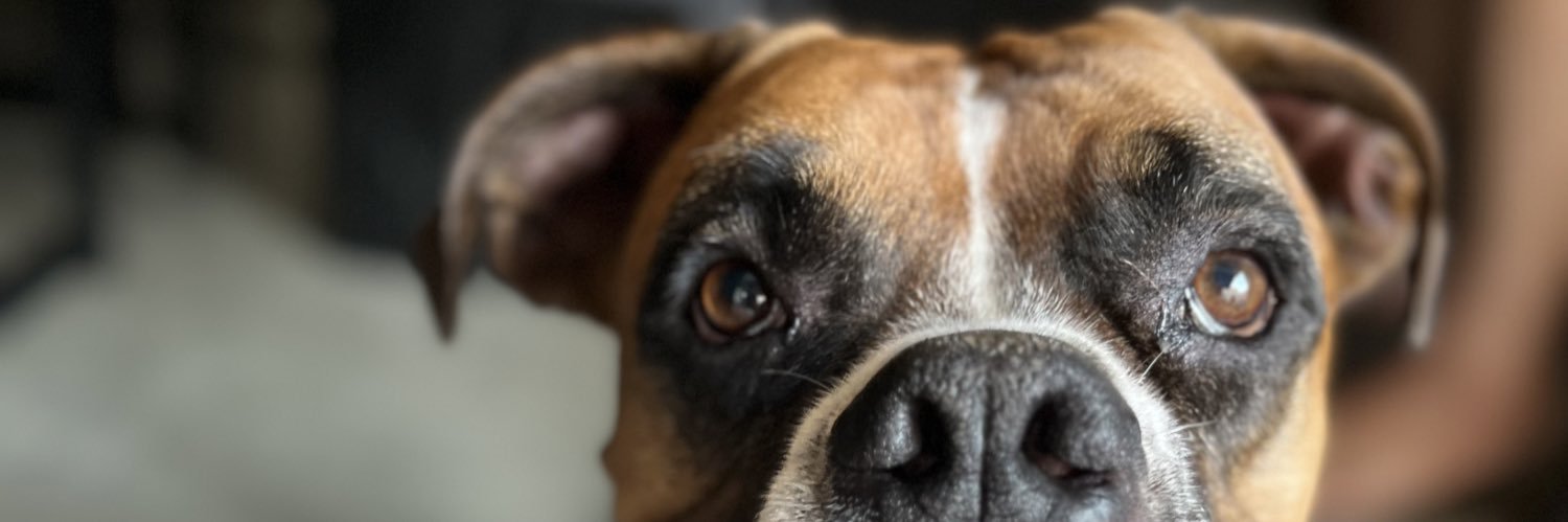 Nathyelerw's profile banner image