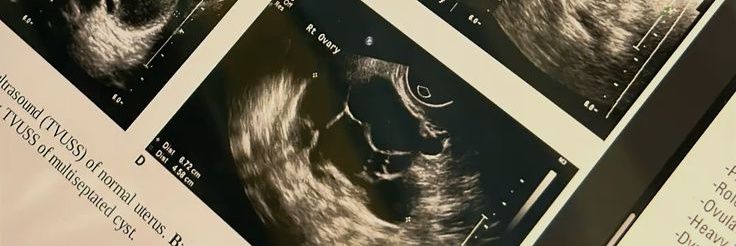 ITALIANOBGYN_'s profile banner image