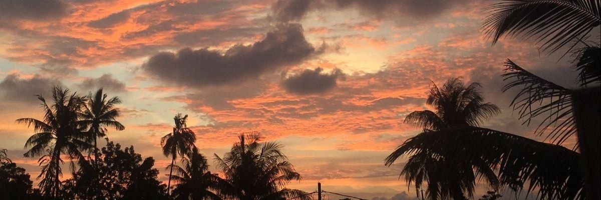 eileenatay's profile banner image