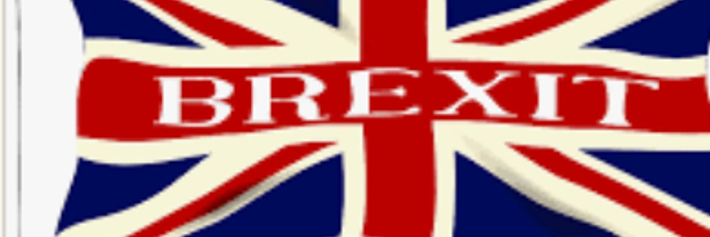 theBrexitfoundation banner