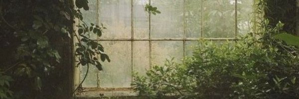 vcnoBB_ Profile Banner