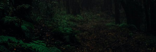 daviducles_ Profile Banner